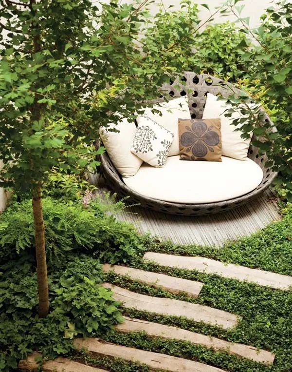 Cozy Seting Area
