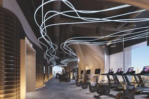 Gym - Tiger Sky Tower